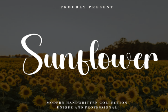 Download Sunflower - Premium Bundle